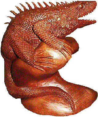 Iguana