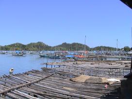 Labuhan Bajo Flores Hafen